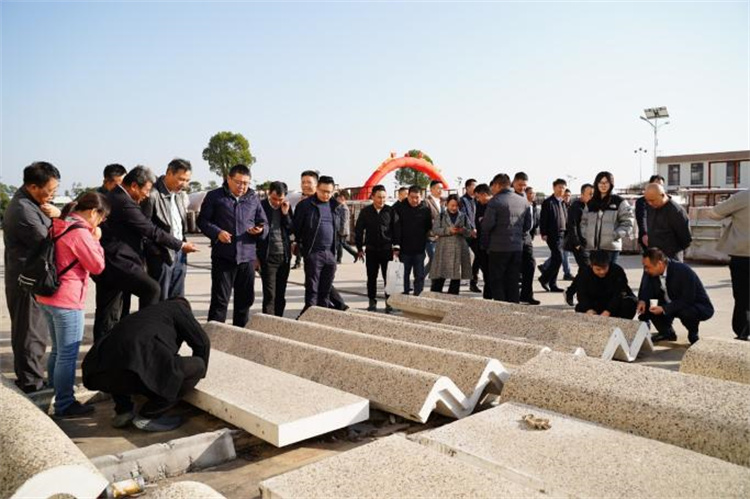 20008678.jpeg 68149249.jpeg