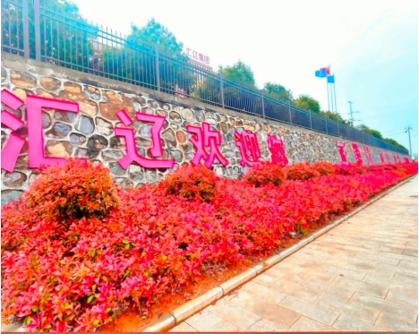 13217807.png 2.png